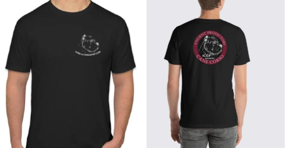 iccf merchandise shirt2